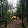 Camping Cédrière Mountain
