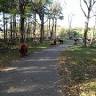 Camping Amsterdam aan Zee