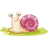 Camping Caracol
