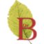 Camping de Beukenhof