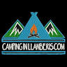 Camping In Llanberis Campsite and Glamping Yurts