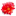 Mariahoeve