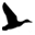 Canard Ltd.