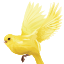 Canary Rose Retreat