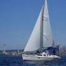 Candere Cruising