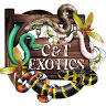 C&T Exotics