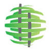 Cane Design