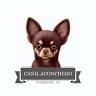 Canil Aconchego Guabiruba