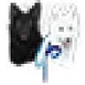 Canine Ardor - Hundefitness und -verhalten