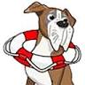 Canine Castaways Rescue, INC