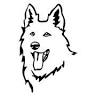 Canine Command GC | Dog Trainer Gold Coast