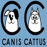 Hlídání koček, hlídání a venčení psů Praha Canis cattus