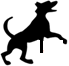 CanisVitae