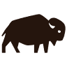 Where The Buffalo Roam Saloon