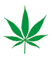 Cannabis Store Amsterdam Moncalieri