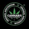 Cannabis store Amsterdam Civitavecchia