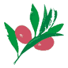 Olive Kitchen