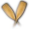 Canoe2