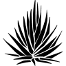 Cantina Del Centro - Nelson