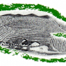 Azienda Vitivinicola Gandolfi Giacomo