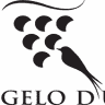 Angelo d'Uva