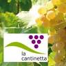 La Cantinetta, Bettina Guthke