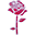Cantinho da Rosa