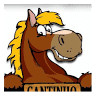 Cantinho dos Póneis - Sintra ( Só por reservas online )