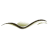 Stacey L. Gividen, DDS