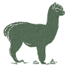 Canzelle Alpacas