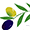 Cape Ann Olive Oil Co