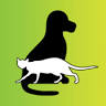 Cape Hawke Veterinary Hospital