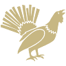 Capercaillie Wines