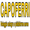 Omnia Rent Srl-Capoferri Gru