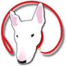 Captain Spish dog behavior