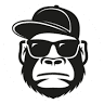 Car Monkeys