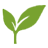 Caraway Tea Company