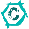 Carbonbike