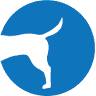 Cardiff Canine Knee Clinic