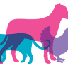 Cardiff Veterinary Hospital