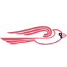 Cardinal Buses, Inc.