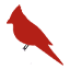 Cardinal Kids Therapy
