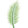 Palm Beach Spine & Diagnostic Institute