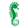 Caribbean Forest LLC
