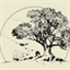 Carmel Valley Veterinary Hospital