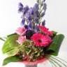 Carnations Florists Cardiff