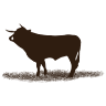 Cooperativa Agrícola de Vila Real Crl
