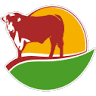 Carnes Sá Bandeira - Carvalhos