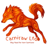 Carniraw Ltd