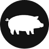 Carolina Brothers Pit Barbeque